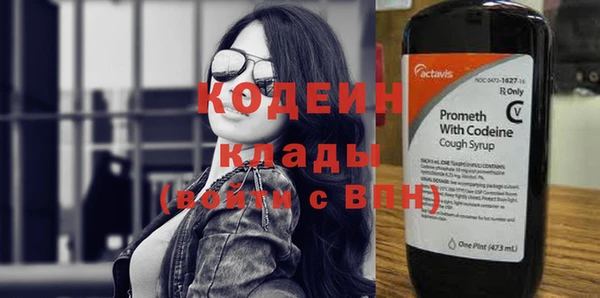 индика Абаза