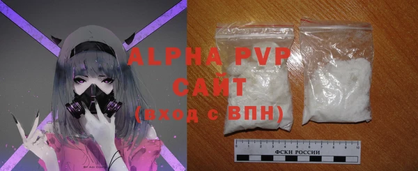 индика Абаза
