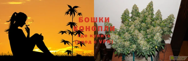 индика Абаза