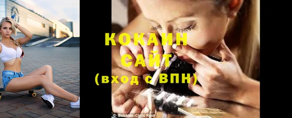 индика Абаза