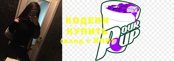 индика Абаза