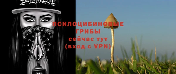 тгк Абинск