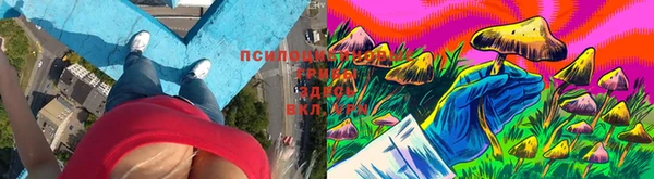 индика Абаза
