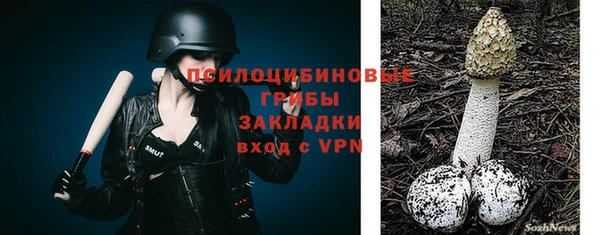 тгк Абинск