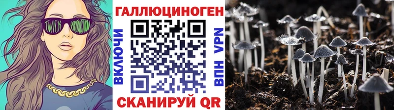 Галлюциногенные грибы Cubensis  Азнакаево 